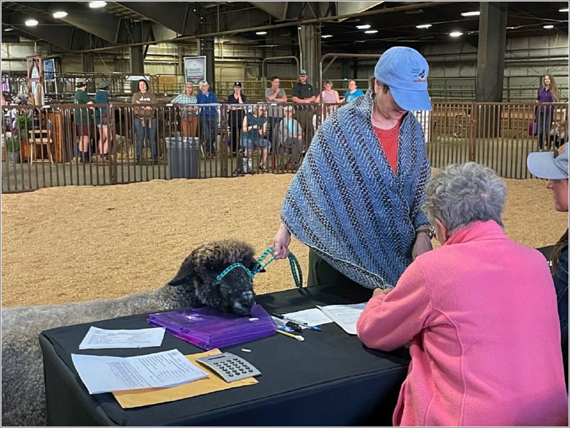 Margo Haywood models Team #2s shawl. Photo: Aurora Colony Handspinners Guild.